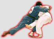 Judo - obrzek bojovnk
